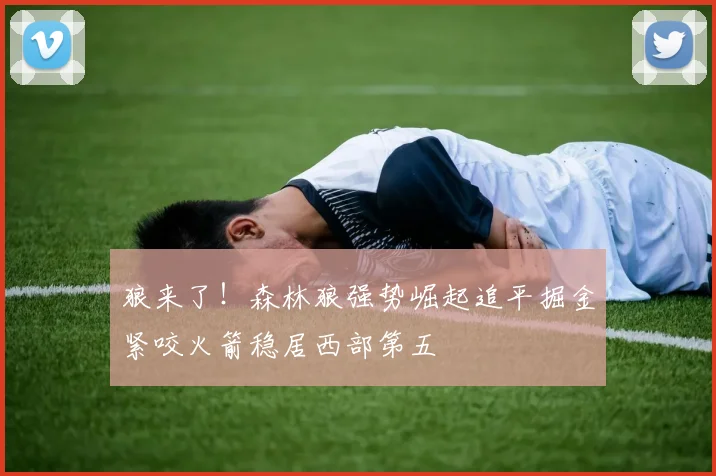 狼来了！森林狼强势崛起追平掘金紧咬火箭稳居西部第五