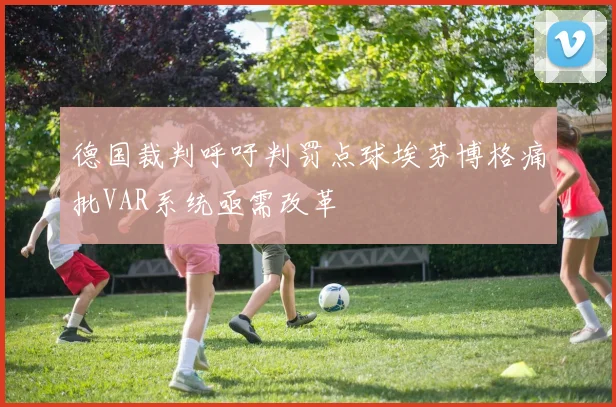 德国裁判呼吁判罚点球埃芬博格痛批VAR系统亟需改革